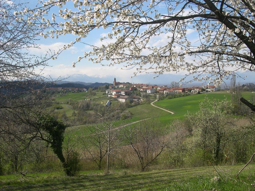 B&B Ca' Dla Nona Brusasco Bagian luar foto